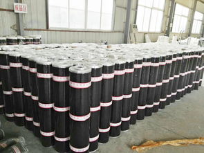 價格適中的sbs防水卷材,廠家火熱供應(yīng) 西藏自粘改性瀝青sbs防水卷材